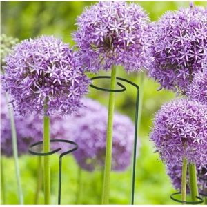 Kit 5 Tutor Estaca para Plantas